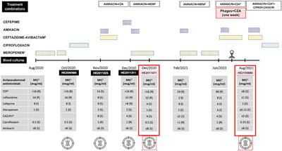Case report: Analysis of phage therapy failure in a patient with a Pseudomonas aeruginosa prosthetic vascular graft infection